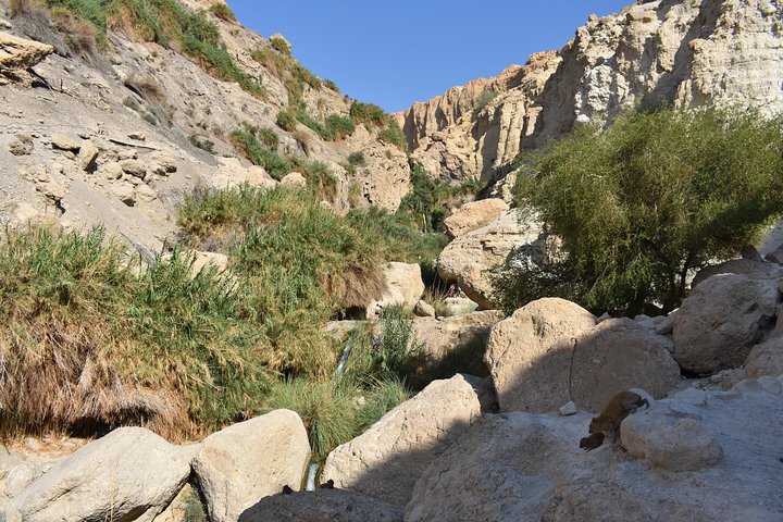 Masada, Ein Gedi & Dead Sea Tour from Tel Aviv