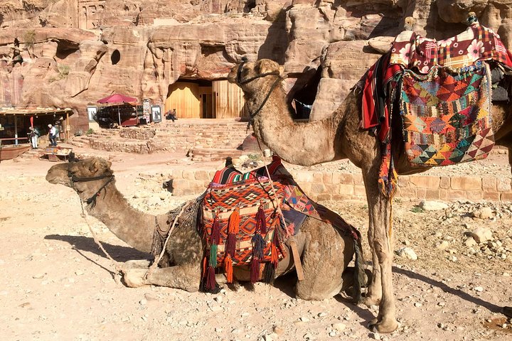 Day Tour to Petra from Eilat