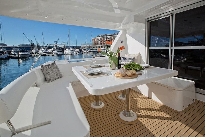 VipDolphins Luxury Whale Watching