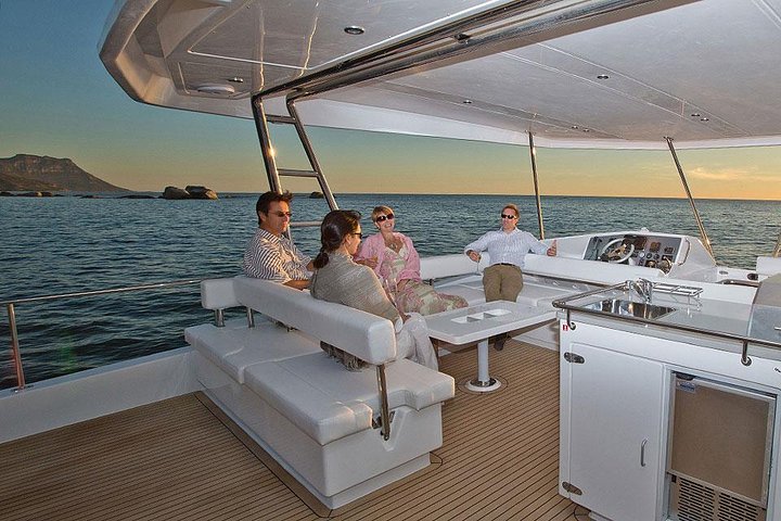 VipDolphins Luxury Whale Watching