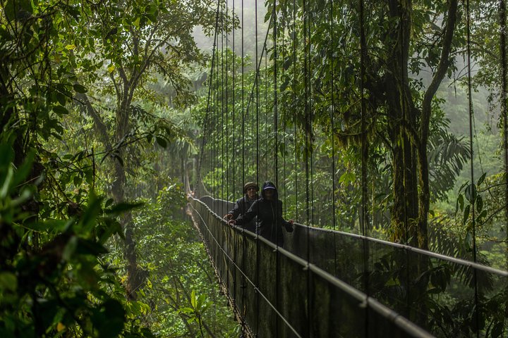 La Fortuna Waterfall, Hanging Bridges, Arenal Volcano Combo Tour
