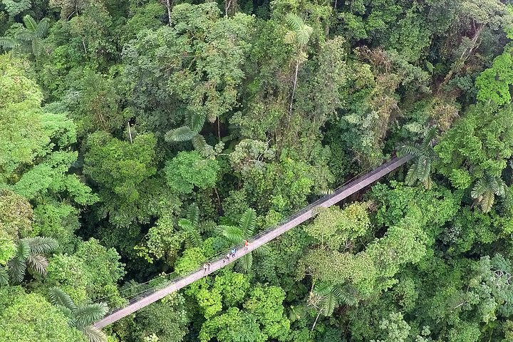 La Fortuna Waterfall, Hanging Bridges, Arenal Volcano Combo Tour