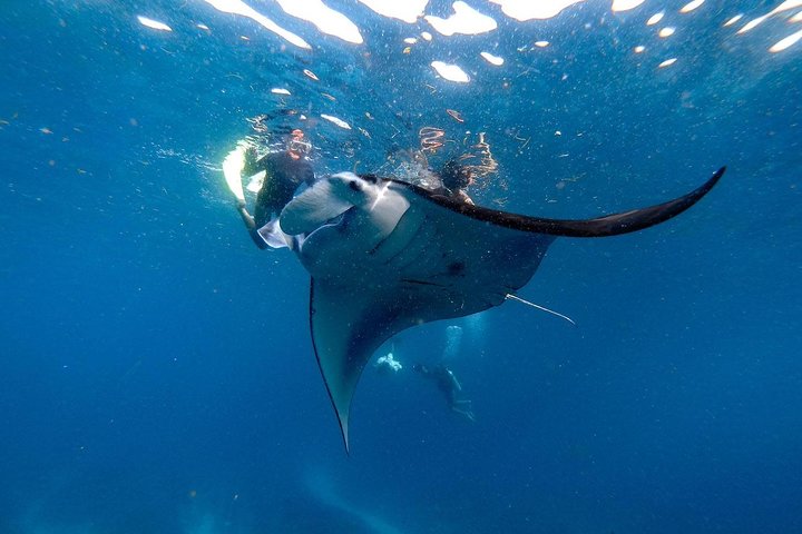 Nusa Penida Snorkeling Adventure (Private & All-Inclusive)