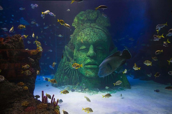 SEA LIFE Manchester Admission Ticket