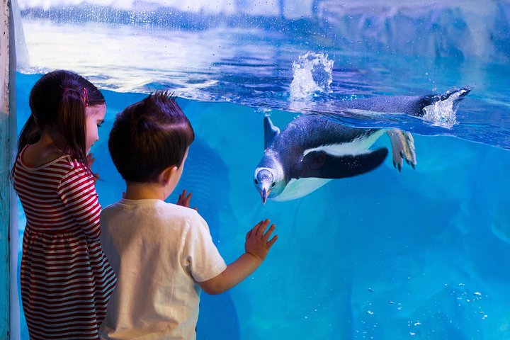 Hunstanton SEA LIFE Sanctuary General Admission Ticket