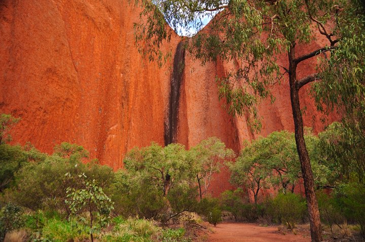 Uluru Morning Guided Base Walk