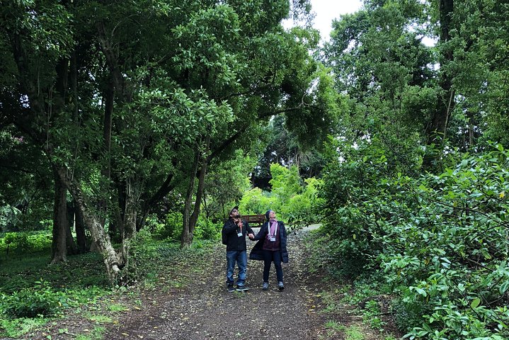 Alices Journeys Walking Tours of Daylesford 2.30pmFRI 11.30amSAT