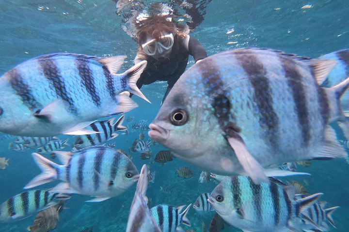 Snorkeling in the Blue Cave area【Okinawa Prefecture: Free feeding & photo images!English and Chinese speaking guide available!