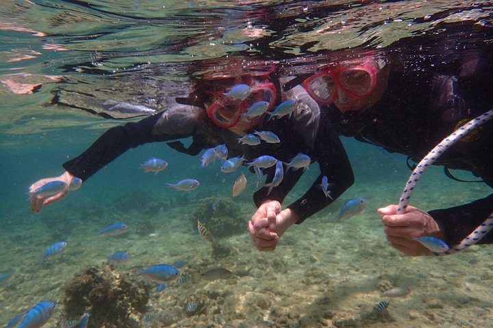 Snorkeling in the Blue Cave area【Okinawa Prefecture: Free feeding & photo images!English and Chinese speaking guide available!