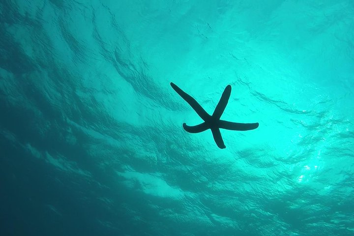 Snorkeling in the Blue Cave area【Okinawa Prefecture: Free feeding & photo images!English and Chinese speaking guide available!