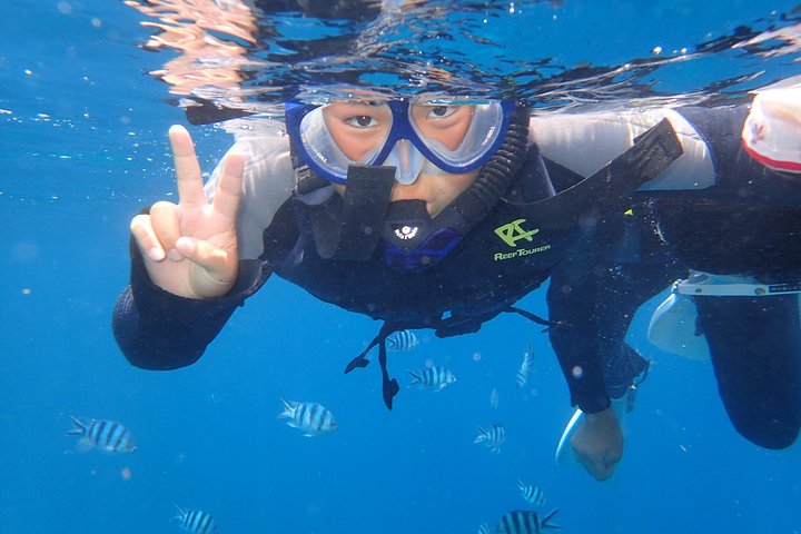 Snorkeling in the Blue Cave area【Okinawa Prefecture: Free feeding & photo images!English and Chinese speaking guide available!