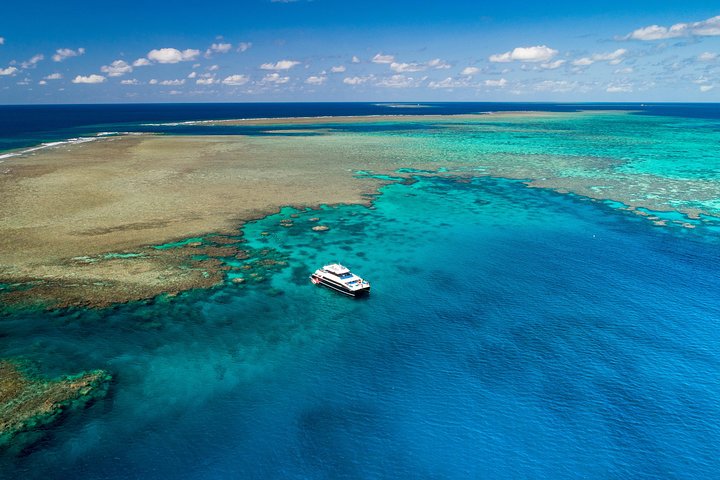 Calypso Outer Great Barrier Reef Cruise from Port Douglas