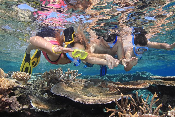 Calypso Outer Great Barrier Reef Cruise from Port Douglas