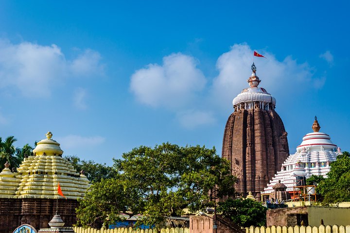 Full Day Tour of Konark Temple and Puri