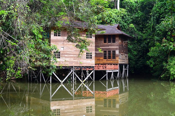 Borneo Tropical Rainforest Tour
