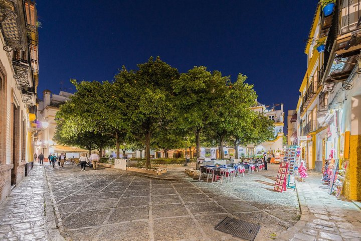 Best of Seville: Top Excursion from Cadiz Port - cruisers only