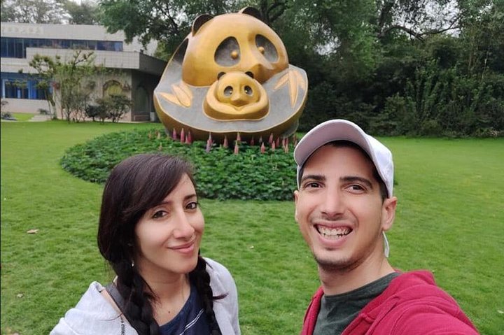 All Inclusive Private Trip to Chengdu Giant Panda Base and Leshan Giant Buddha