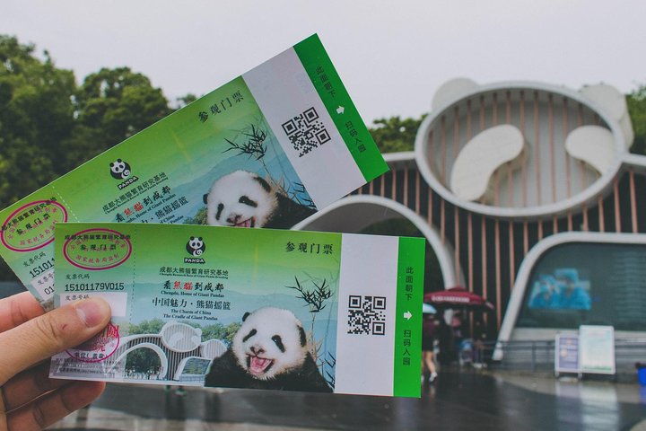 All Inclusive Private Trip to Chengdu Giant Panda Base and Leshan Giant Buddha