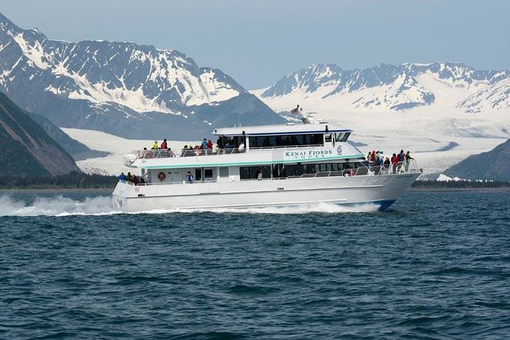 Seward: Whale Watching & Glacier Dinner Cruise