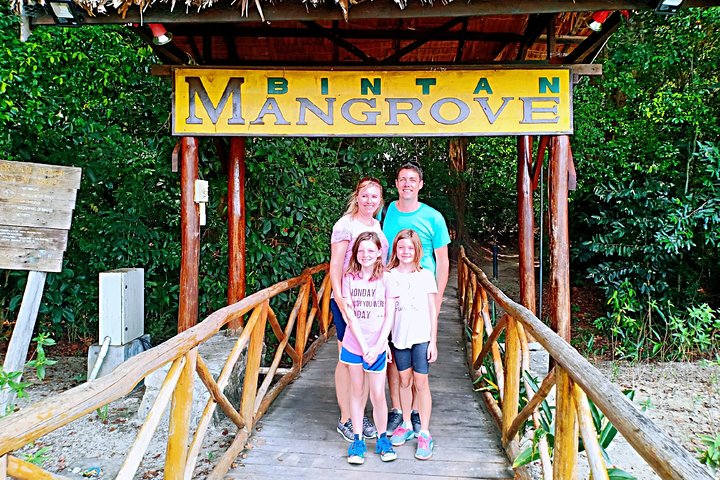 Bintan Mangrove Discovery Tour