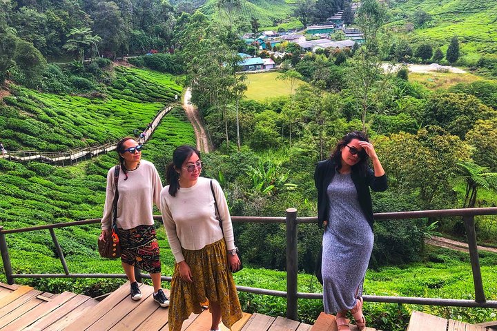 Cameron Highland Best Day Tour from Ipoh with Lunch ( Day Trip)