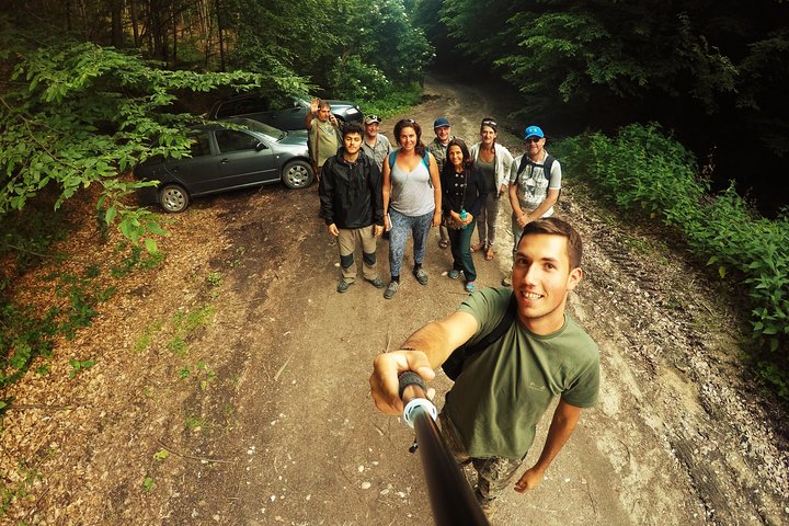 Carpathian Wilderness: A Wildlife Experience from Brașov