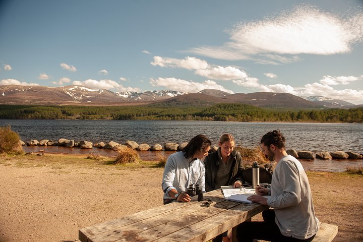 Loch Ness and the Highlands Small-Group Day Tour from Aberdeen