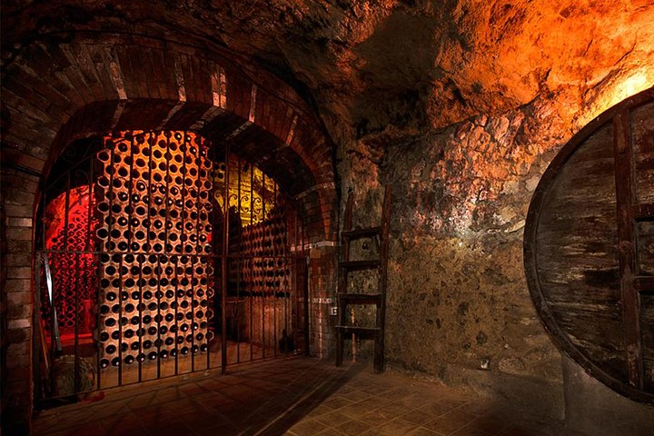 Ribera del Duero Underground Cellar & Wine Tasting Experience
