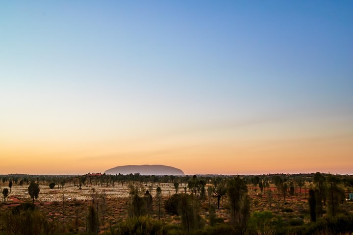 Uluru (Ayers Rock) Field of Light Sunrise Tour