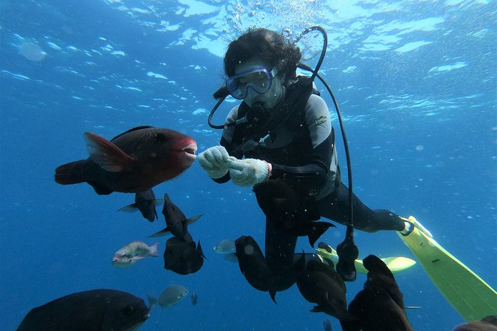 Blue Cave Area Experience Diving!Free feeding & photo images Chinese guide available!1 group with a dedicated instructor