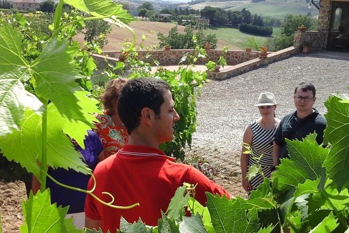 Gourmet Wine Tour