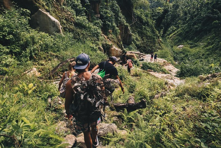 Top Rated El Yunque Rainforest & Waterslide – SmallGroup Tour