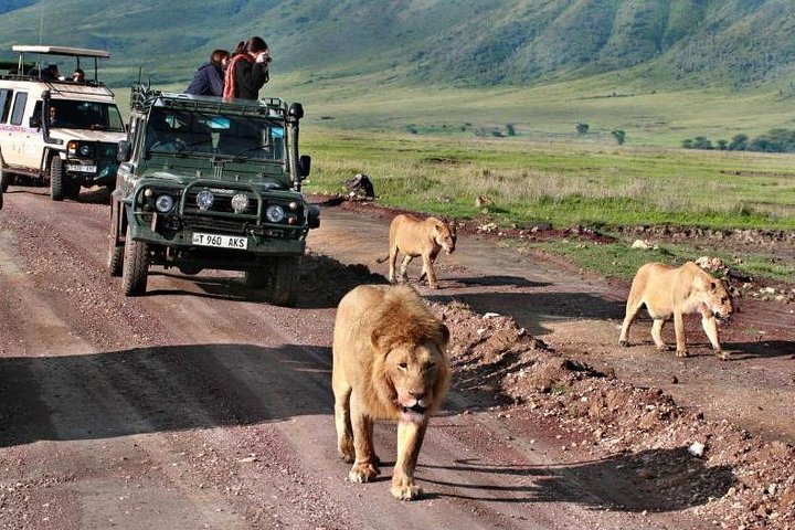 15 Days Spectacular Kenya & Tanzania Safari with Zanzibar Beach