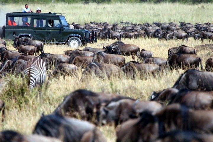 15 Days Spectacular Kenya & Tanzania Safari with Zanzibar Beach