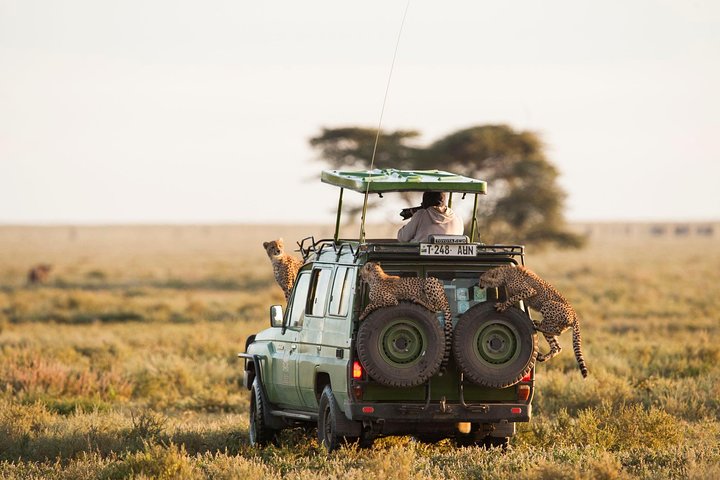 15 Days Spectacular Kenya & Tanzania Safari with Zanzibar Beach