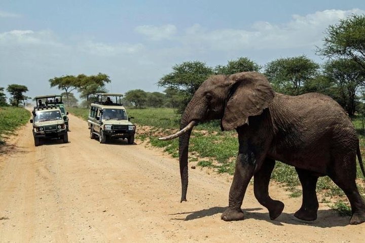 15 Days Spectacular Kenya & Tanzania Safari with Zanzibar Beach
