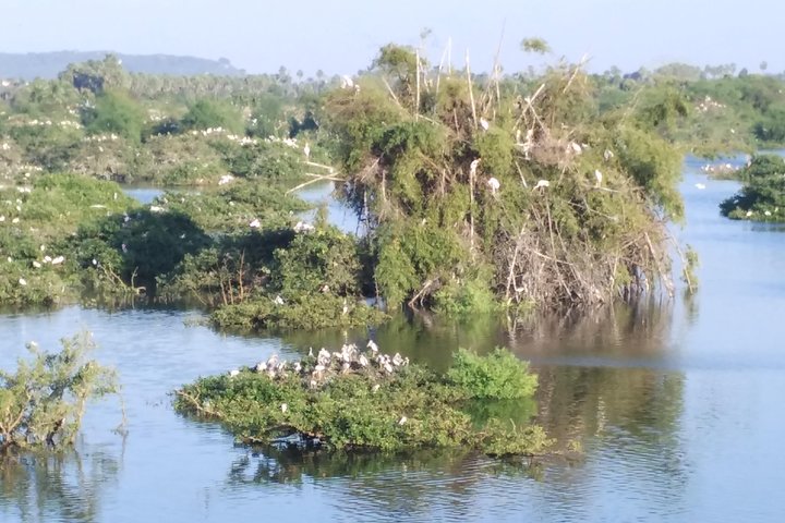 Wild life tour in Chennai with guide and private car