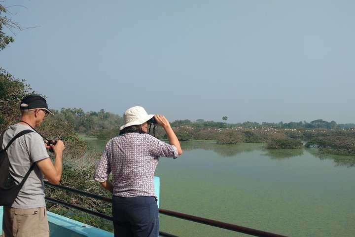 Wild life tour in Chennai with guide and private car