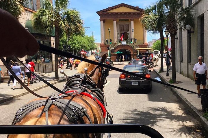 Charleston’s Old South Carriage Historic Horse & Carriage Tour