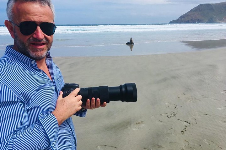 Dunedin Shore Excursion: Small-Group Tour of Dunedin and the Otago Peninsula