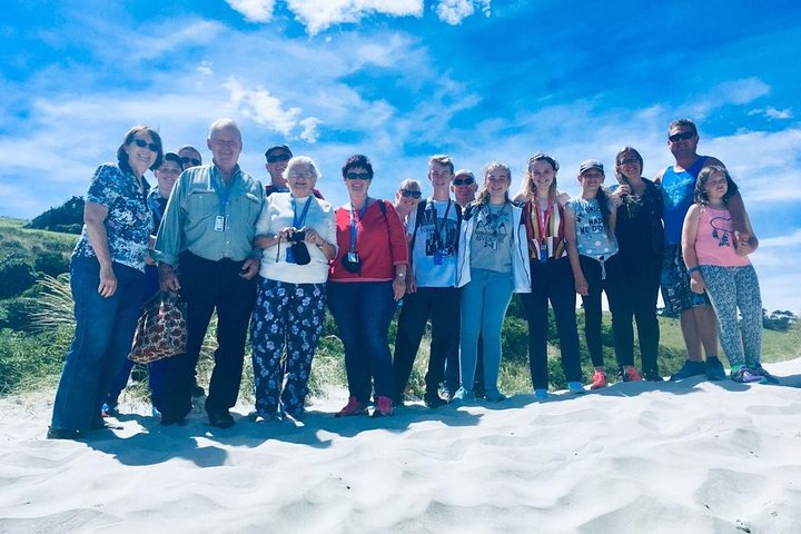 Dunedin Shore Excursion: Small-Group Tour of Dunedin and the Otago Peninsula
