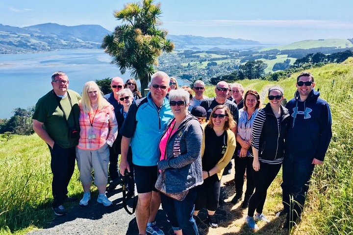 Dunedin Shore Excursion: Small-Group Tour of Dunedin and the Otago Peninsula