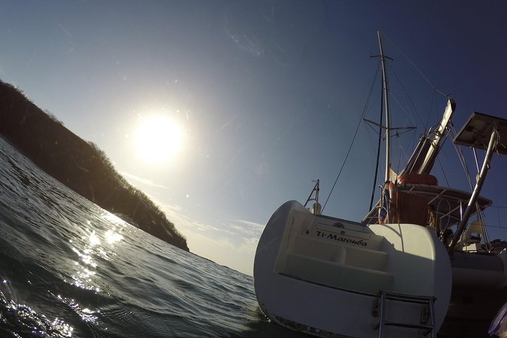 Timarouba Catamaran Sunset Cruise with Open Bar Lunch& Snorkeling