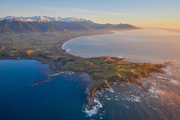 Whale Watching in Kaikoura - Ultimate Experience