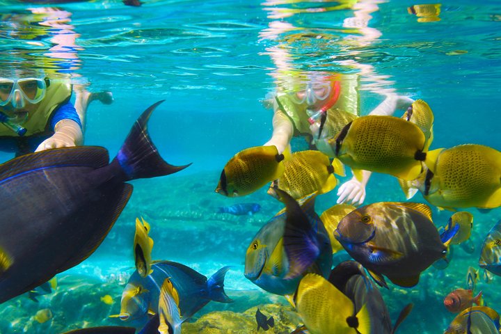 Bali Watersport : Diving, Fly fish, Banana Boat, Parasailing