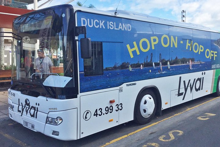 Hop-On Hop-Off / HOHO / All Day Pass (return ticket's) with LYVAI