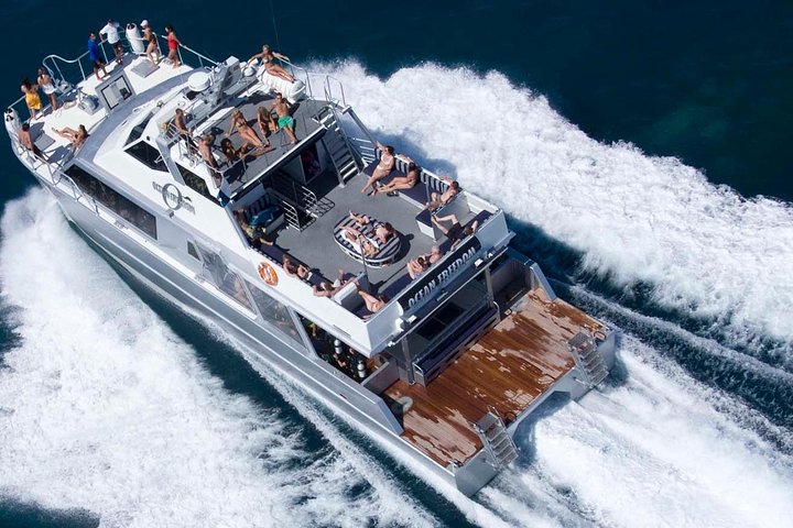 Ocean Freedom: Great Barrier Reef Stylish Snorkel, Dive Reef Tour