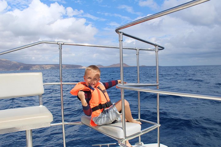 Whale and Dolphin Watching Catamaran with Transfer and Buffet