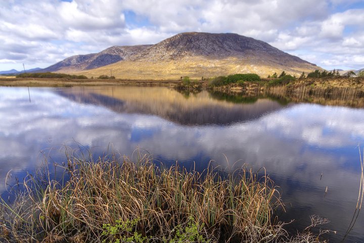 Connemara National Park, Beach & Blanket Bog ecology walk. Private Full-day