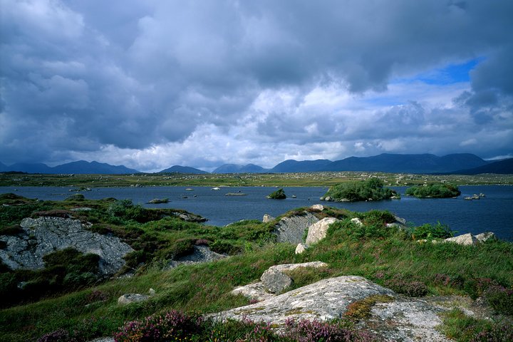 Connemara National Park, Beach & Blanket Bog ecology walk. Private Full-day